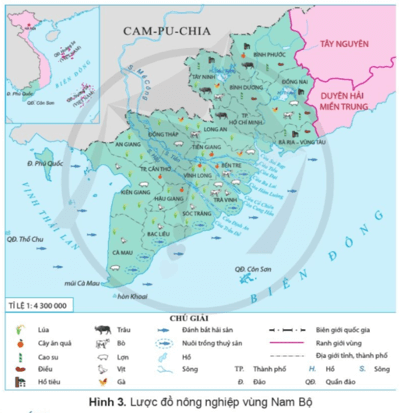 Lịch Sử và Địa Lí lớp 4 Cánh diều Bài 19: Dân cư, hoạt động sản xuất và một số nét văn hóa ở vùng Nam Bộ (ảnh 2)