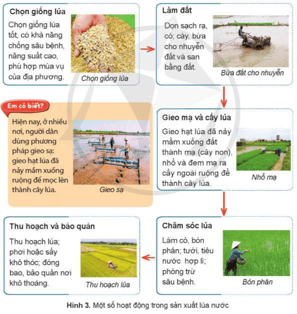 Lịch Sử và Địa Lí lớp 4 Cánh diều Bài 7: Dân cư, hoạt động sản xuất và một số nét văn hóa ở vùng Đồng bằng Bắc Bộ (ảnh 2)