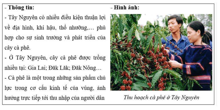 Lịch Sử và Địa Lí lớp 4 Chân trời sáng tạo Bài 20: Dân cư và hoạt động sản xuất ở vùng Tây Nguyên