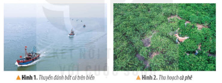Lịch Sử và Địa Lí lớp 4 Kết nối tri thức Bài 16: Dân cư và hoạt động sản xuất ở vùng Bắc Trung Bộ và Nam Trung Bộ