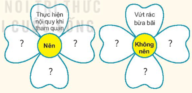 Lịch Sử và Địa Lí lớp 4 Kết nối tri thức Bài 19: Cố đô Huế