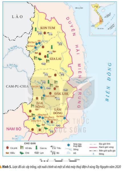 Lịch Sử và Địa Lí lớp 4 Kết nối tri thức Bài 21: Dân cư và hoạt động sản xuất ở vùng Tây Nguyên