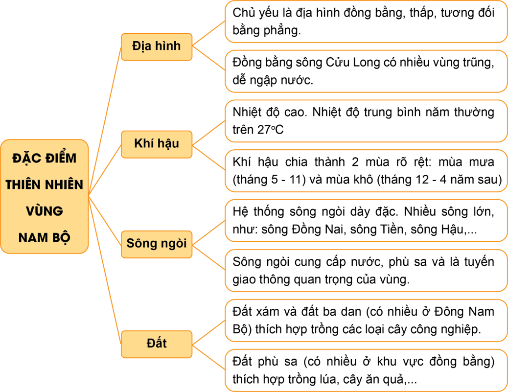 Lịch Sử và Địa Lí lớp 4 Kết nối tri thức Bài 22: Thiên nhiên vùng Nam Bộ