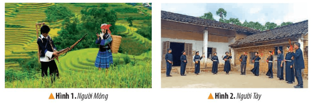Lịch Sử và Địa Lí lớp 4 Kết nối tri thức Bài 5: Dân cư và hoạt động sản xuất ở vùng Trung du và miền núi phía Bắc