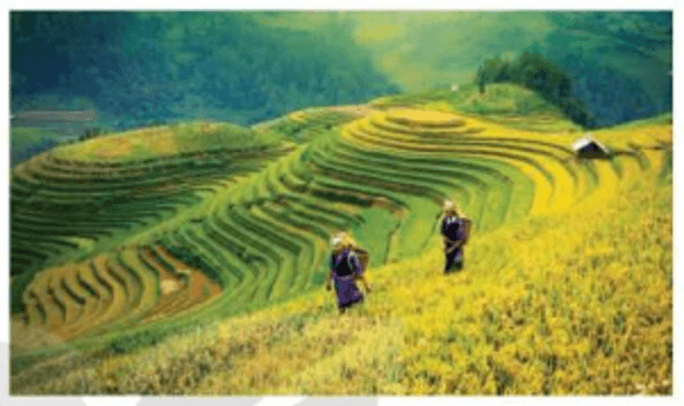 Lịch Sử và Địa Lí lớp 4 Kết nối tri thức Bài 5: Dân cư và hoạt động sản xuất ở vùng Trung du và miền núi phía Bắc