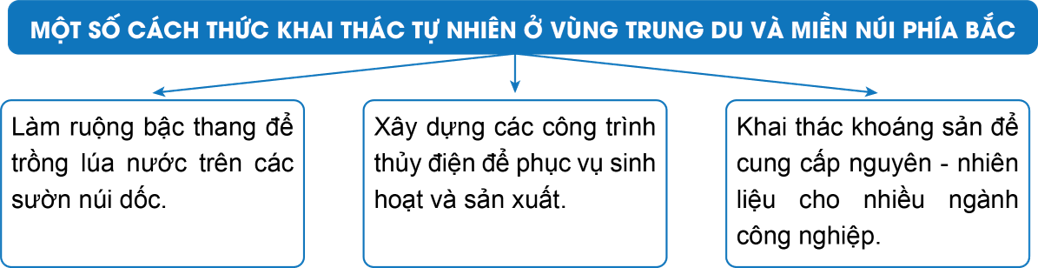 Lịch Sử và Địa Lí lớp 4 Kết nối tri thức Bài 5: Dân cư và hoạt động sản xuất ở vùng Trung du và miền núi phía Bắc