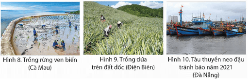 Lịch Sử và Địa Lí lớp 5 Chân trời sáng tạo Bài 2: Thiên nhiên Việt Nam