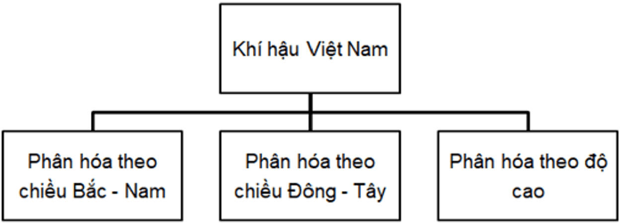 Lịch Sử và Địa Lí lớp 5 Chân trời sáng tạo Bài 2: Thiên nhiên Việt Nam