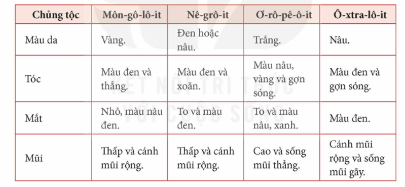Lịch Sử và Địa Lí lớp 5 Kết nối tri thức Bài 23: Dân số và các chủng tộc chính trên thế giới