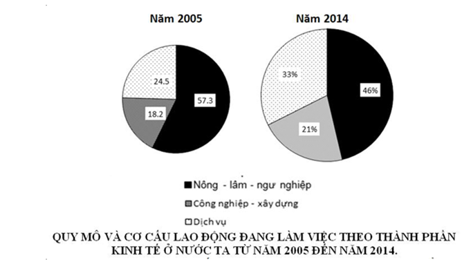 Trắc nghiệm Bảng, biểu đồ, bảng số liệu: Nhận xét biểu đồ