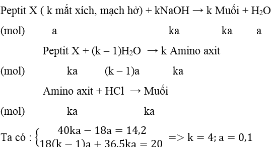 luyện thi Hóa học | Ôn thi đại học môn Hóa học