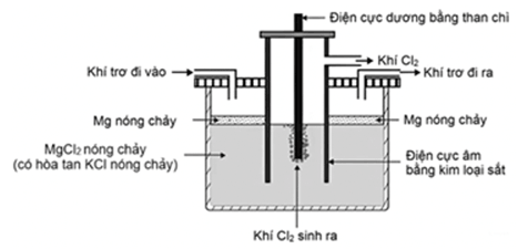 Đề thi thử Hóa Tốt nghiệp 2025-2026 trường THPT Chương Mỹ A (Hà Nội) (Đề 1)