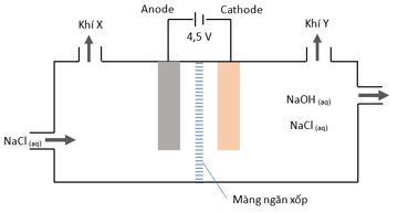 Đề thi thử Hóa Tốt nghiệp 2025-2026 trường THPT Nguyễn Khuyến (Bình Dương) (tháng 11)
