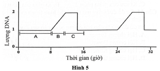 Đề thi thử Sinh học Tốt nghiệp THPT 2025-2026 Sở Hà Nội
