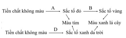 Đề thi thử Sinh học Tốt nghiệp THPT 2025-2026 Sở Phú Thọ