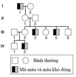Đề thi thử Sinh học Tốt nghiệp 2025-2026 trường THPT chuyên Phan Bội Châu - chuyên Hà Tĩnh