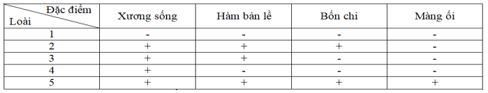 Đề thi thử Sinh học Tốt nghiệp 2025-2026 trường THPT chuyên Phan Bội Châu (Nghệ An)
