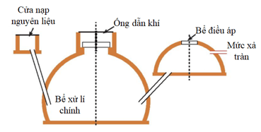 Đề thi thử Sinh học Tốt nghiệp 2025-2026 trường THPT chuyên Phan Bội Châu (Nghệ An)