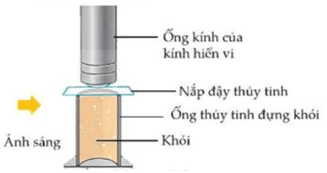 Đề thi thử Vật Lí Tốt nghiệp THPT 2025-2026 Sở Bắc Ninh (Mã 0204)