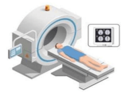 Đề thi thử Vật Lí Tốt nghiệp THPT 2025-2026 Sở Hải Phòng