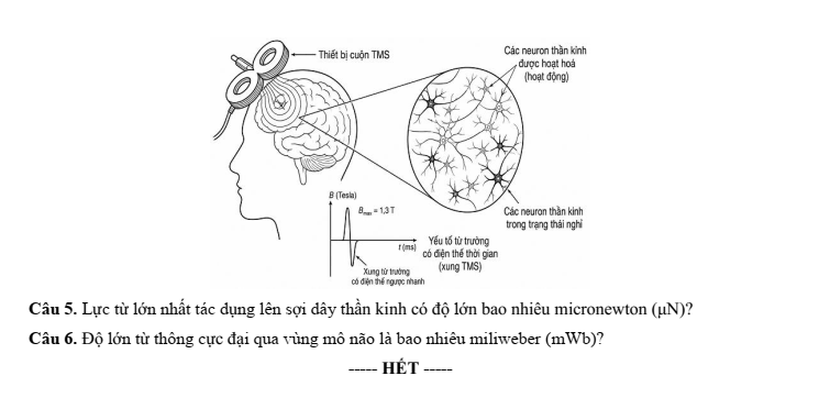 Đề thi thử Vật Lí Tốt nghiệp THPT 2025-2026 Sở Lâm Đồng (Mã 0201)