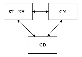 Bài thu hoạch bồi dưỡng thường xuyên module THCS40