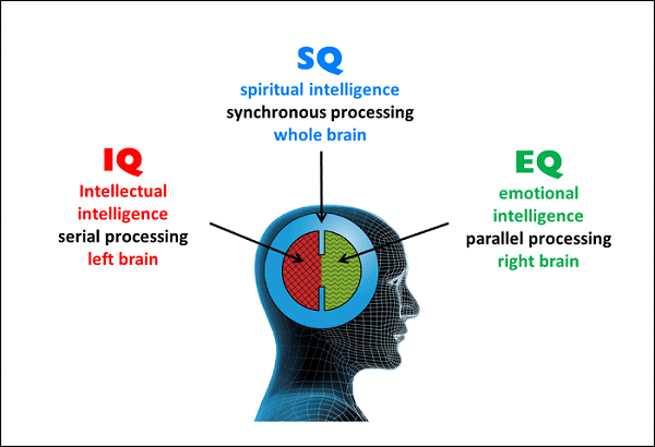 Chỉ số EQ bao nhiêu là cao?