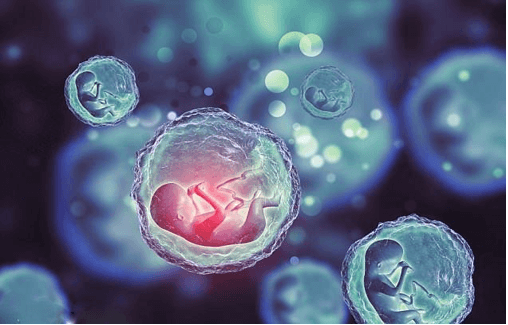 Mẫu đơn đề nghị thụ tinh trong ống nghiệm đúng quy định mới nhất năm 2025