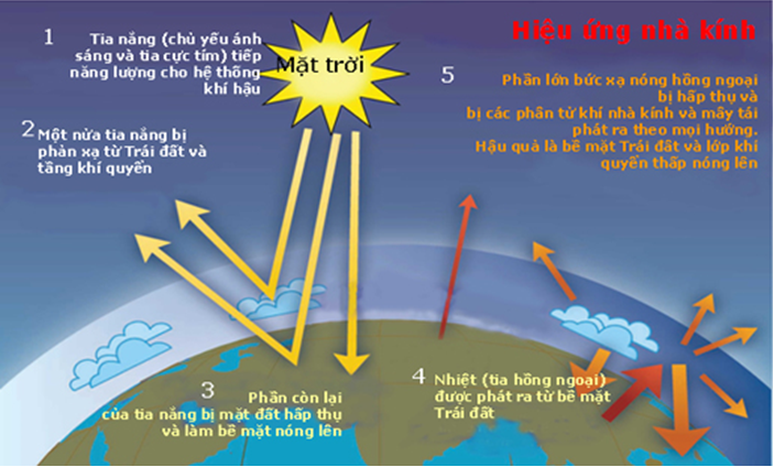 Hiện tượng hiệu ứng nhà kính là gì?