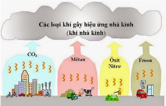 Hiện tượng hiệu ứng nhà kính là gì?