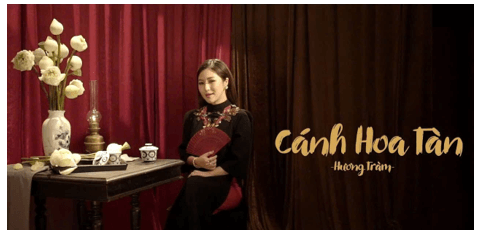 Cánh hoa tàn (lời bài hát, lyric chính xác nhất)
