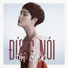 Đừng nói tôi điên (lời bài hát, lyric chính xác nhất)