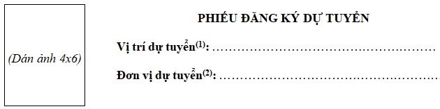 Mẫu đơn dự tuyển viên chức