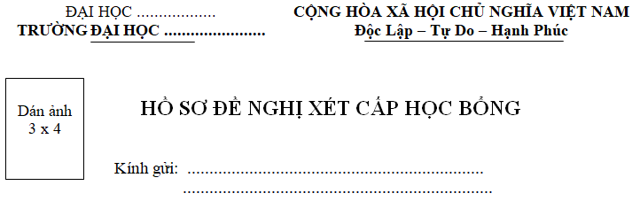 Mẫu đơn xin học bổng