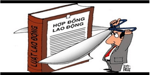 Mẫu quyết định chấm dứt hợp đồng lao động năm 2025 (mới nhất)