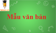 Tổng hợp các mẫu văn bản, đơn xin, hóa đơn, chứng từ, hợp đồng mới nhất