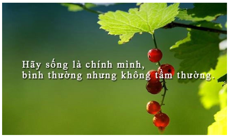 Tổng hợp status hay về cuộc sống