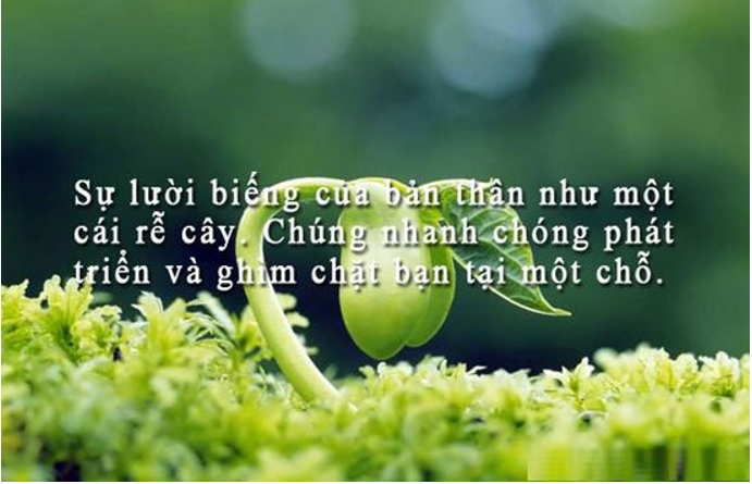 Tổng hợp stt hay về cuộc sống