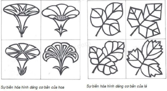 Mĩ thuật lớp 7 Bài 3: Tạo họa tiết trang trí