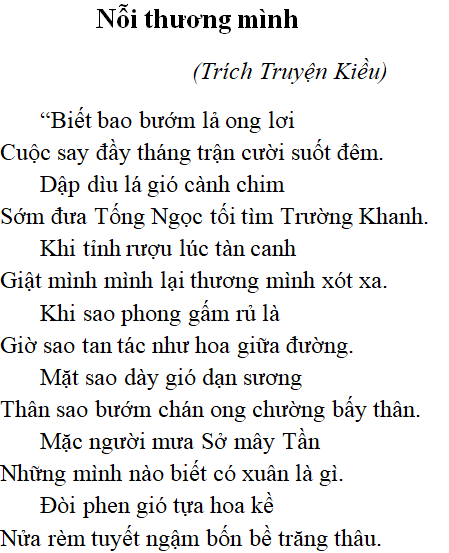 Nỗi thương mình - nội dung, dàn ý phân tích, bố cục, tác giả | Ngữ văn lớp 10