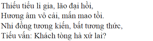 Bài thơ Ngẫu nhiên viết nhân buổi mới về quê - nội dung, dàn ý, giá trị, bố cục, tác giả | Ngữ văn lớp 7