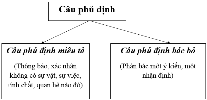 Câu phủ định | Ngữ văn 8