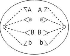 100+ câu hỏi trắc nghiệm Sinh học tế bào (có đáp án)