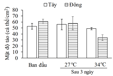 100+ câu hỏi trắc nghiệm Sinh thái học (có đáp án)