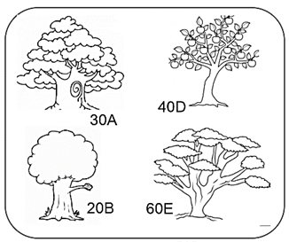 100+ câu hỏi trắc nghiệm Sinh thái học (có đáp án)