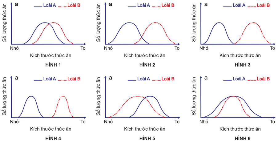 100+ câu hỏi trắc nghiệm Sinh thái học (có đáp án)