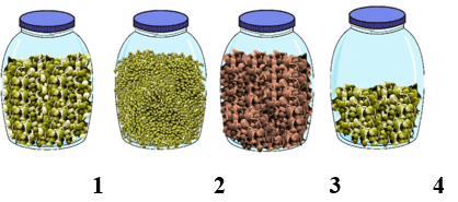100+ câu hỏi trắc nghiệm Trao đổi chất và chuyển hóa năng lượng ở thực vật (có đáp án)
