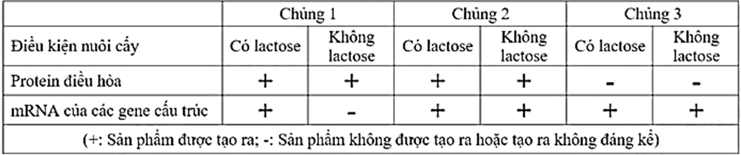 100+ câu hỏi trắc nghiệm Di truyền học phân tử (có đáp án)