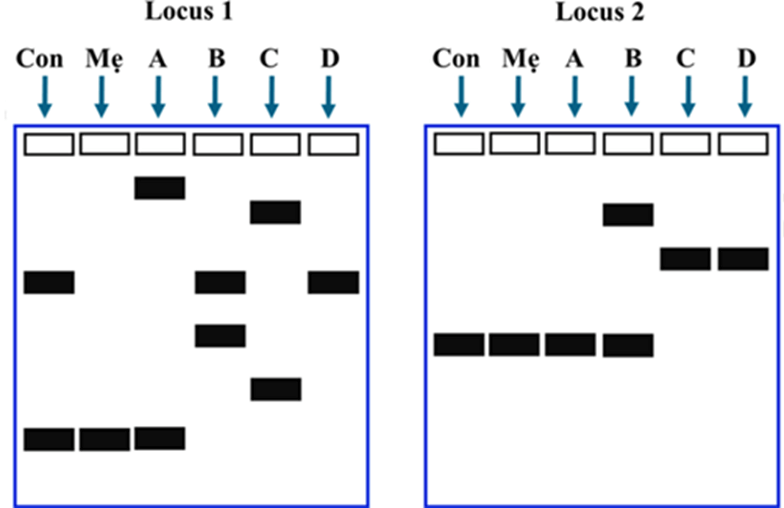 100+ câu hỏi trắc nghiệm Di truyền học phân tử (có đáp án)