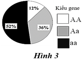 100+ câu hỏi trắc nghiệm Nhiễm sắc thể và các quy luật di truyền (có đáp án)